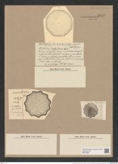 Stictodiscus radfordianus Castrac. (de-Toni-Nr.: Genus 205, Species 5267) Zeichnungen Sammlung Grunow Nr. 9059 (NHMW-BOT-W0378800)